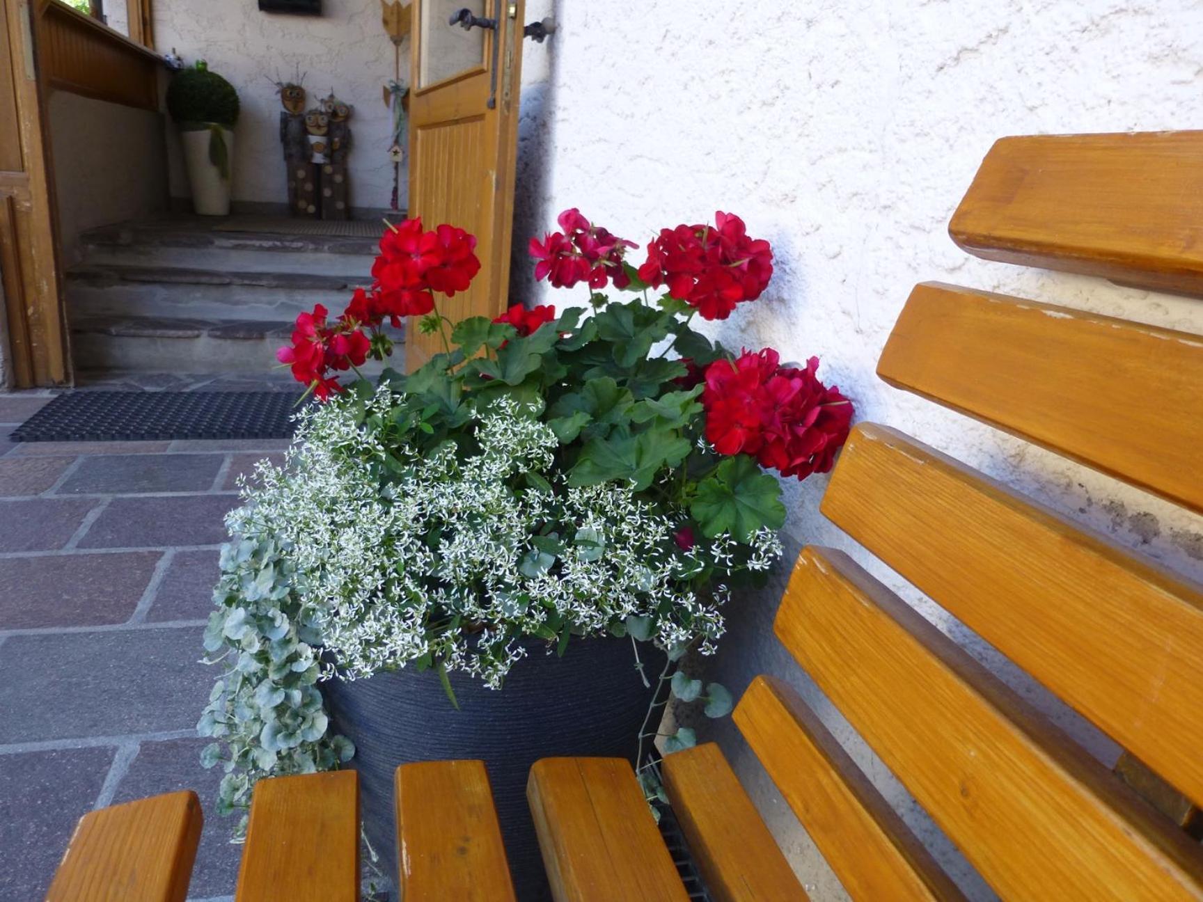 Garni Helfer Bed & Breakfast Dobbiaco Bagian luar foto