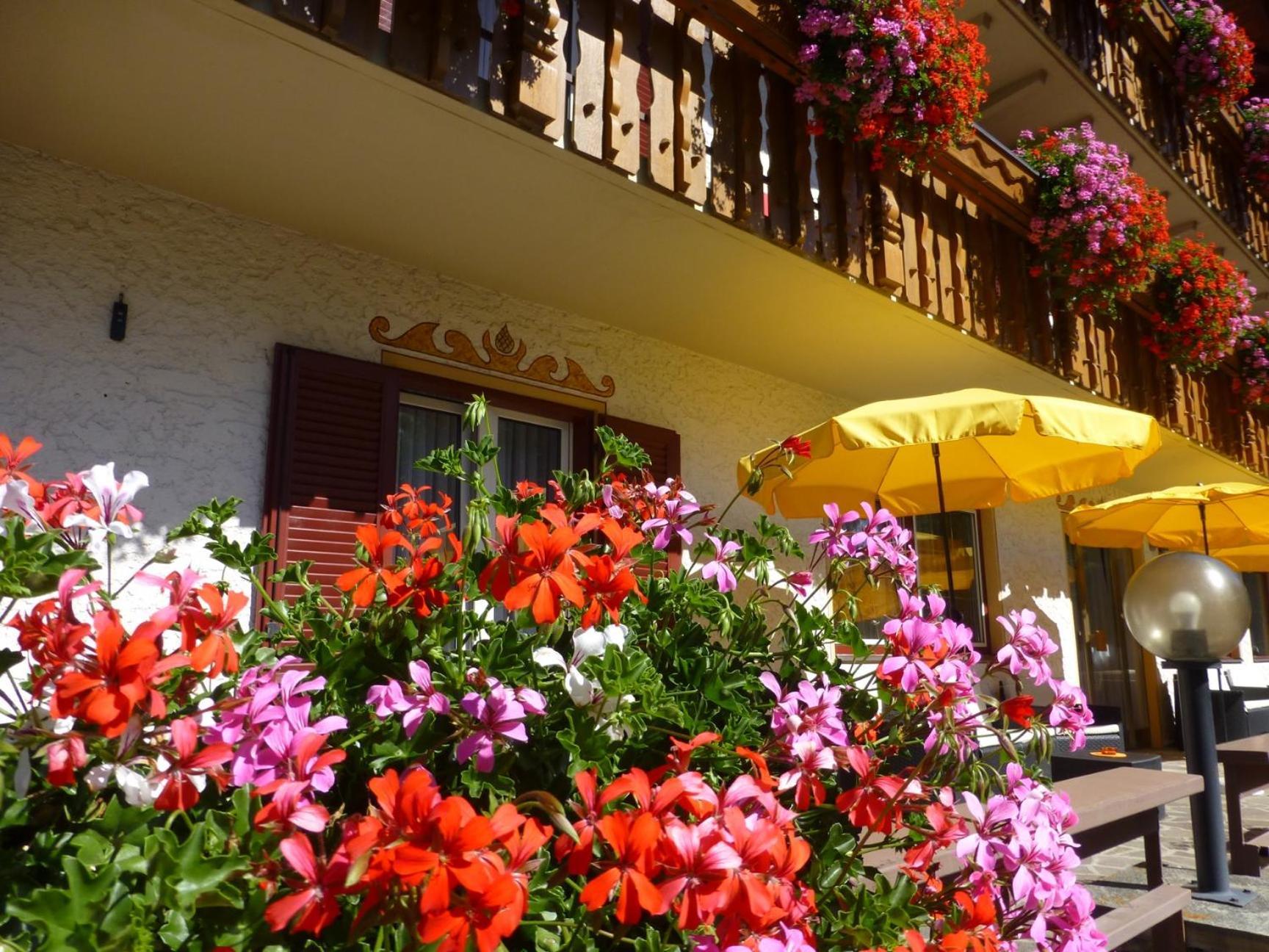 Garni Helfer Bed & Breakfast Dobbiaco Bagian luar foto